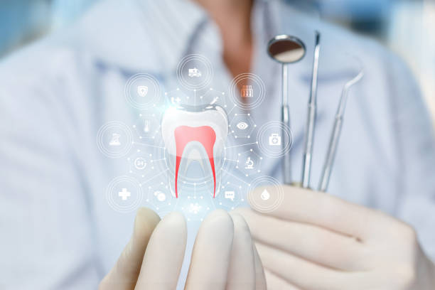 Best Dental Fillings (Composite and Amalgam)  in Minot, ND